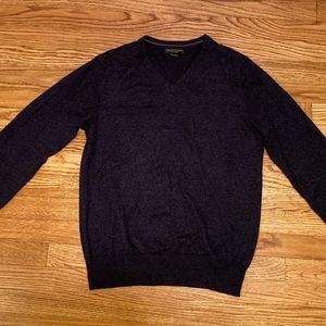 Banana Republic Luxury Blend V-Neck Sweater